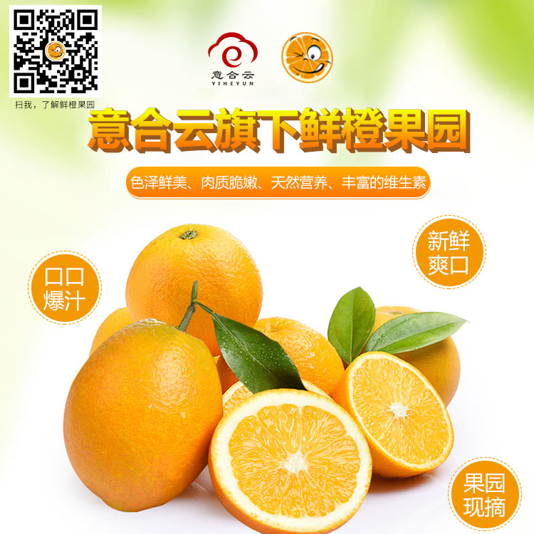 脐橙