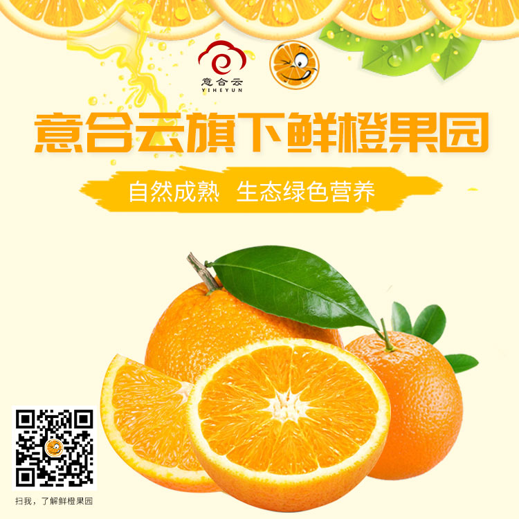 脐橙