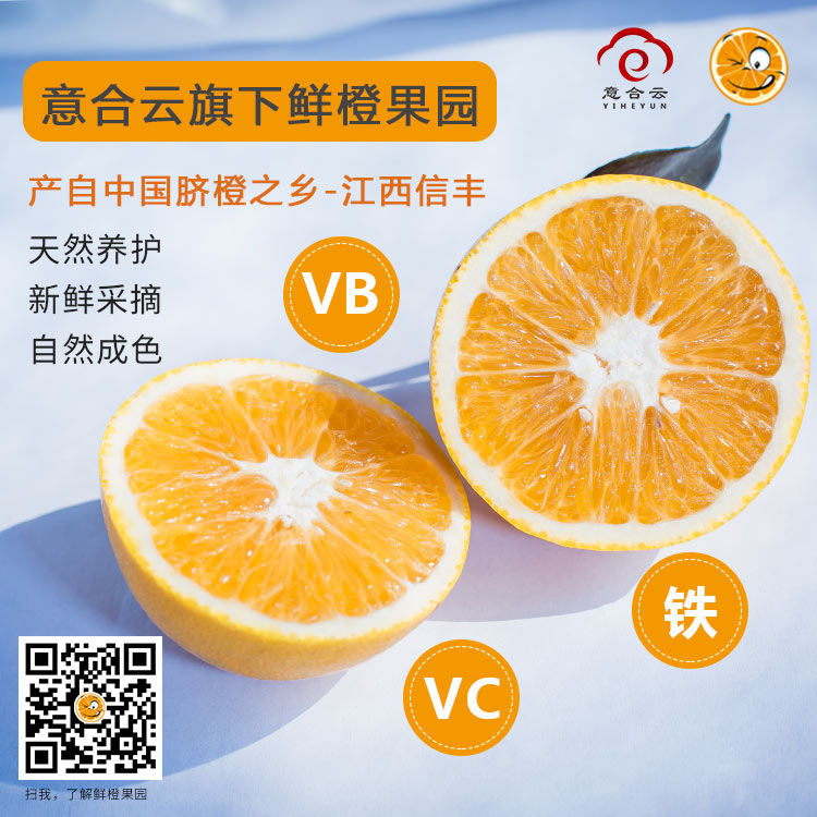 脐橙