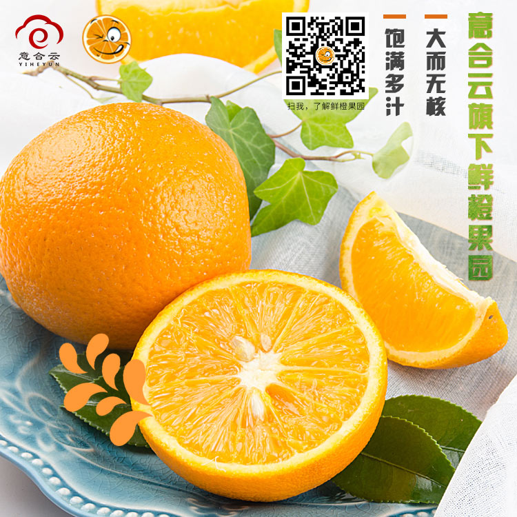 脐橙