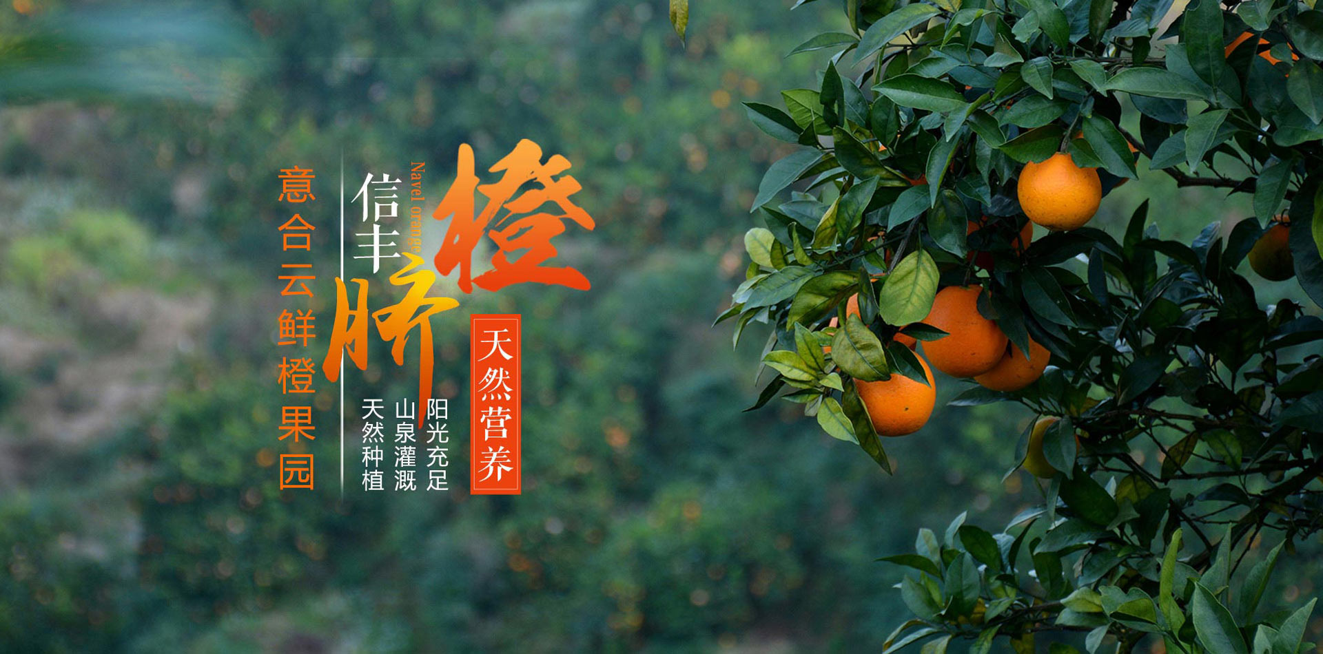 QQ图片20211008105835.jpg
